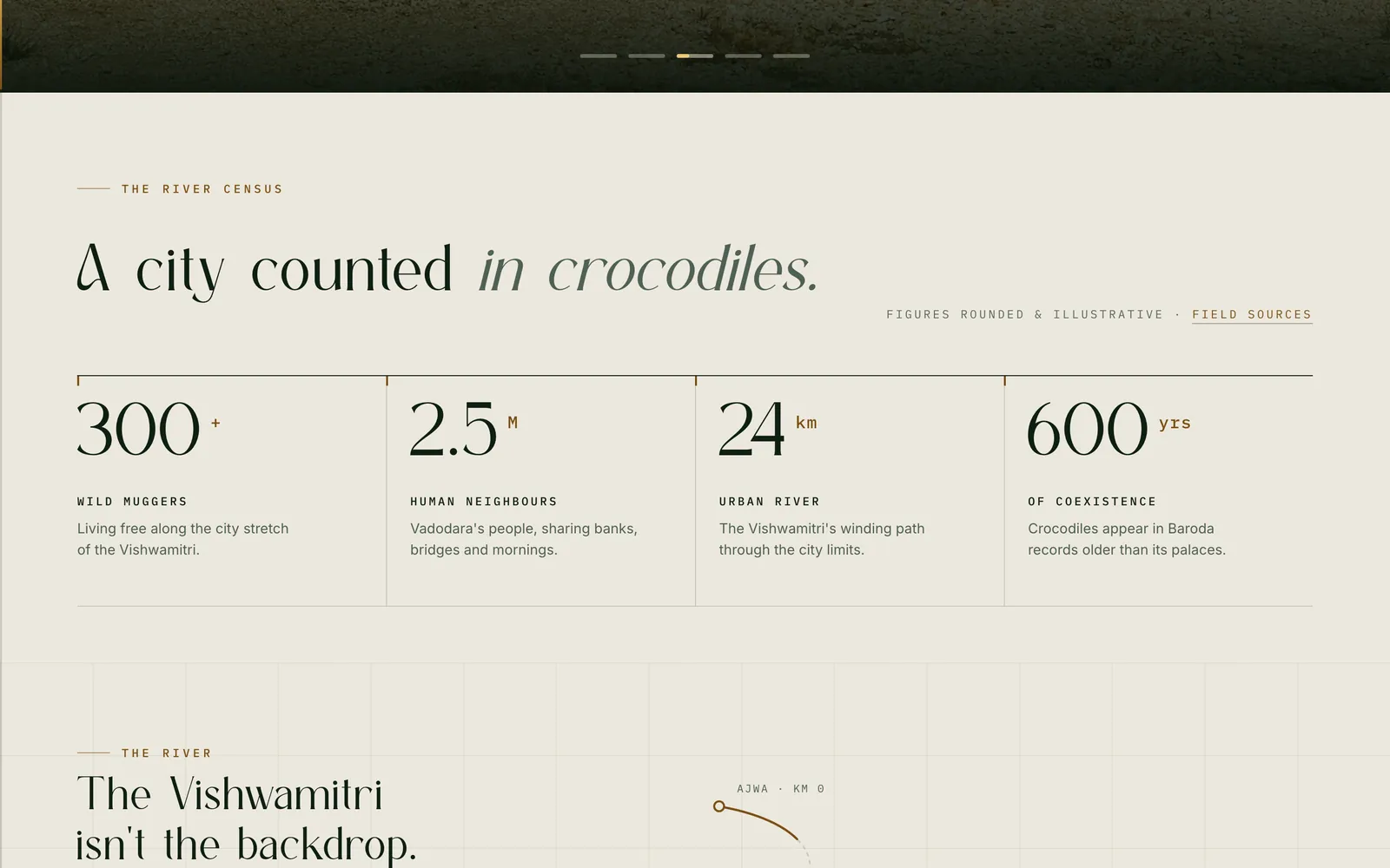 The River Census section: the headline A city counted in crocodiles, above four large figures — 300+ wild muggers, 2.5M human neighbours, 24km urban river, 600yrs of coexistence.