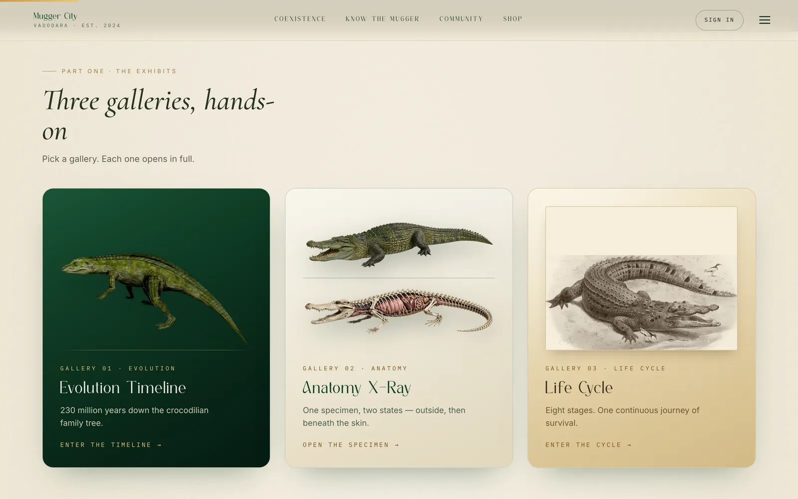 The Know the Mugger exhibits section: three cards headed Evolution Timeline, Anatomy X-Ray and Life Cycle, each with a scientific illustration of a crocodile.