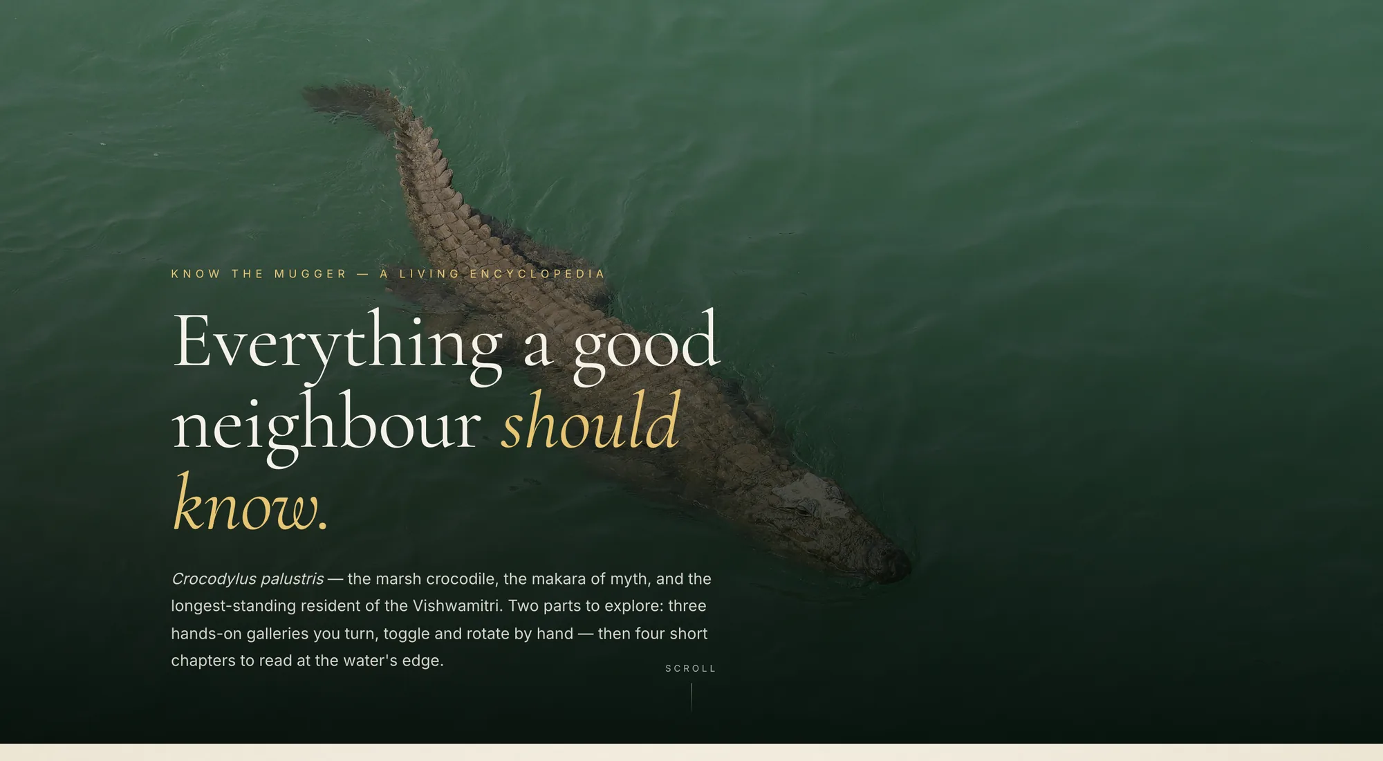 The Know the Mugger page: a mugger crocodile floating in dark green water, under the headline Everything a good neighbour should know.