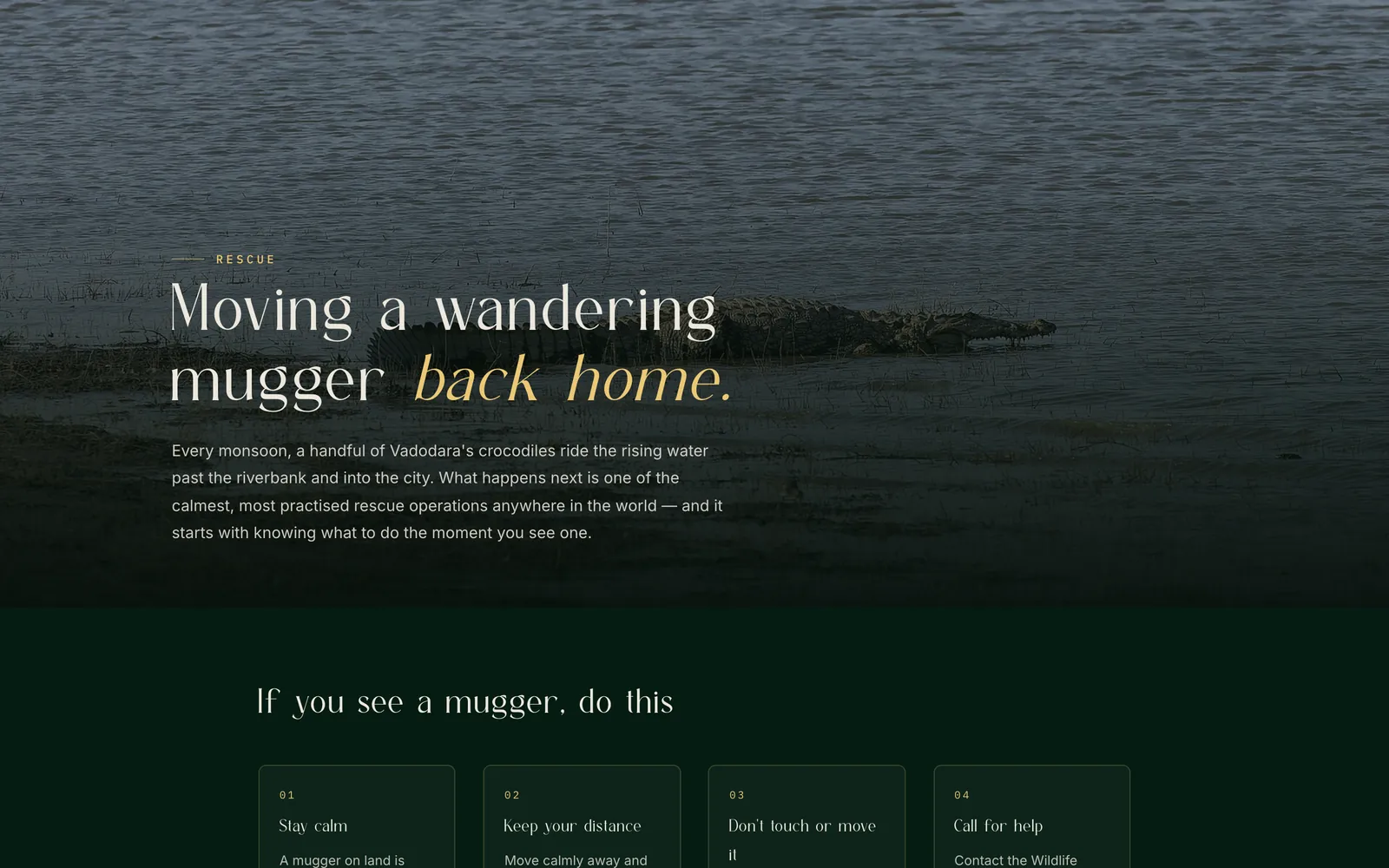 The rescue page: the headline Moving a wandering mugger back home over a photograph of a crocodile on a riverbank, with a four-step If you see a mugger, do this panel below.